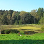 Von Bad Doberan über Althof zu den Hütter Klosterteichen und zurück