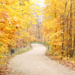 Das ändert sich ab November