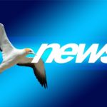 News und Nachrichten aus Bad Doberan - Heiligendamm