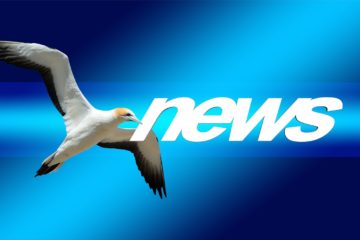 News und Nachrichten aus Bad Doberan - Heiligendamm