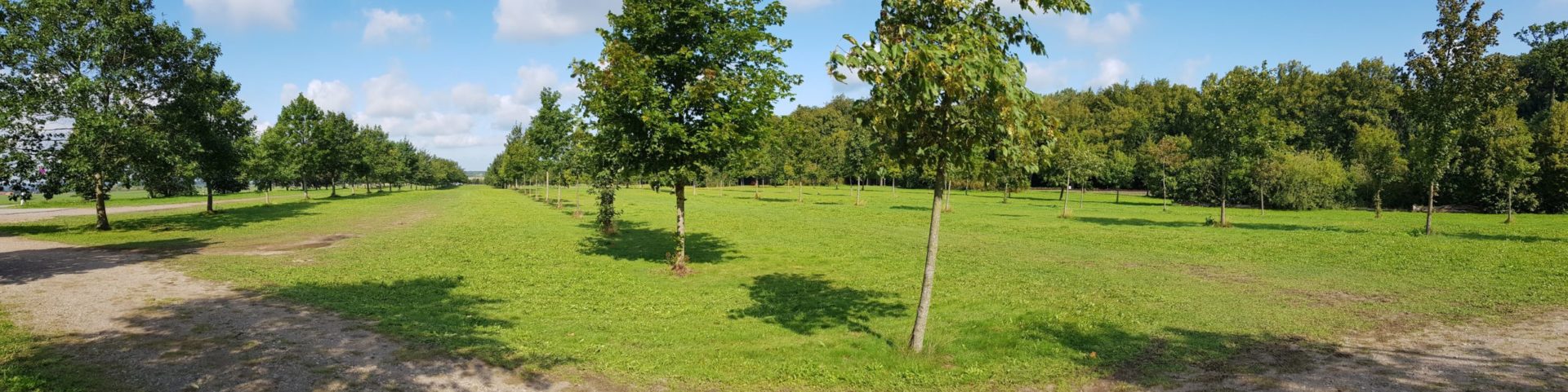 Parkplatz an der Rennbahn Bad Doberan-Heiligendamm für die Zappanale, das Ostseemeeting usw.