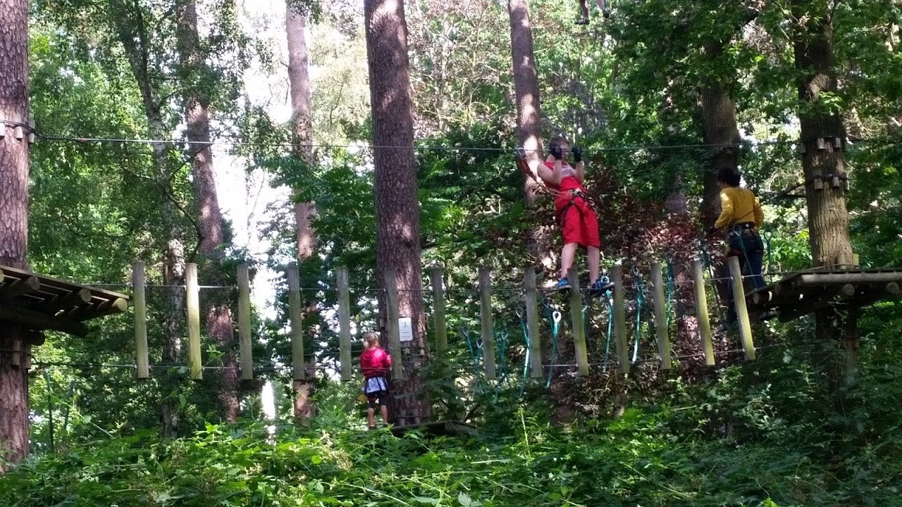 Kletterwald