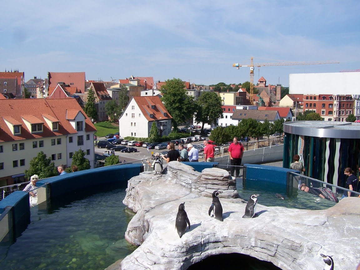 Ozeaneum