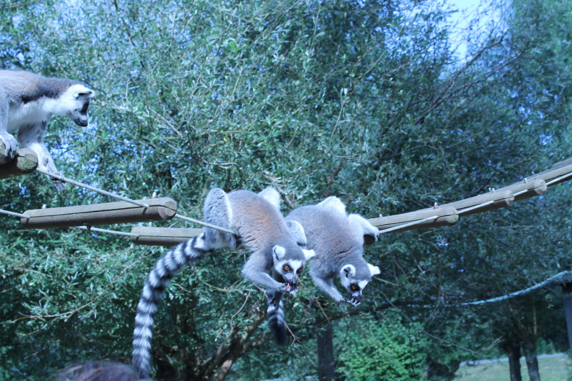 Tierpark