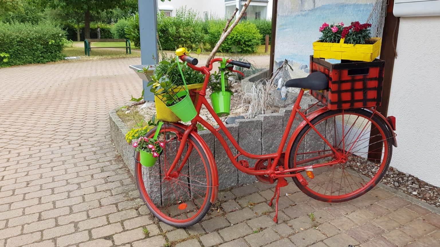 Blumenräder Bad Doberan Rostocker Straße bis Thünenstraße