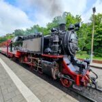 140 Jahre Molli: Programm zum Bahnhofsfest am 9. Juli in Bad Doberan